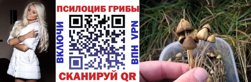 Галлюциногенные грибы мицелий  Купить закладки  Хвалынск 